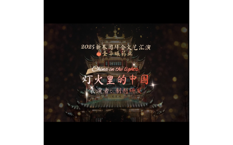 2025新春团拜会文艺汇演---灯火里的中国