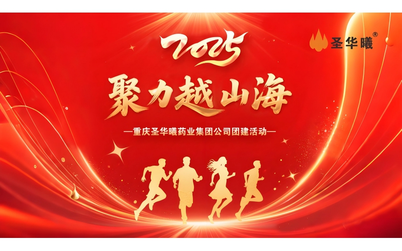 2025年5月“聚力越山海“团建活动集锦