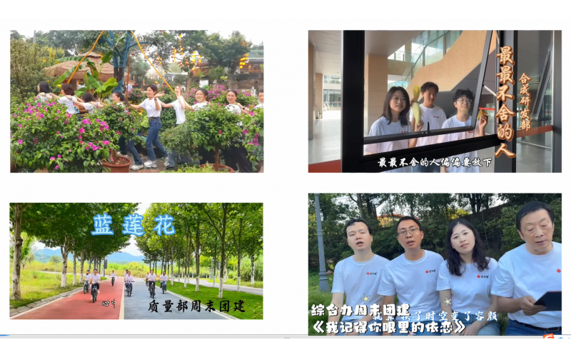 2025年6-8月团建集锦