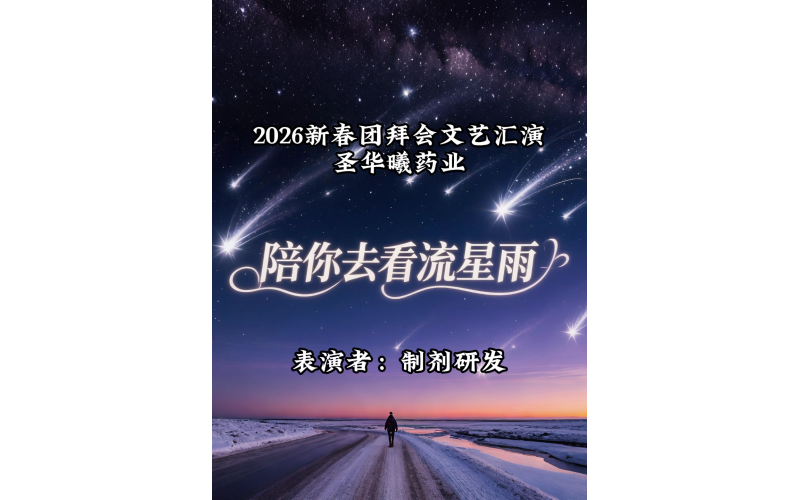 2026年新春团拜会文艺汇演-陪你去看流星雨
