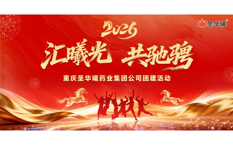 2026年5月&ldquo;汇曦光 &bull; 共驰骋&rdquo;团建活动集锦